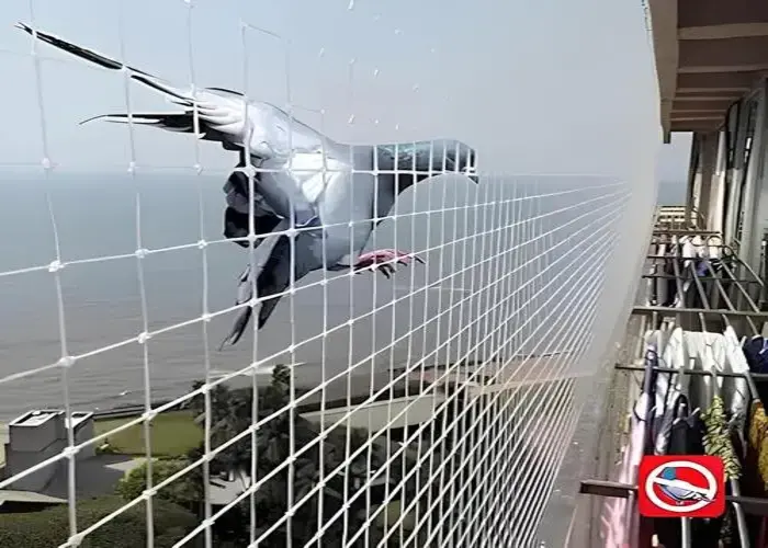 Superior Netting Quality Bird Nets for Balconies in Electronic City, Bangalore at Best Prices