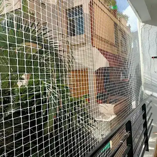 Superior Netting's Premium Bird Netting Services in Electronic City and Throughout Bangalore (Bengaluru) at Best Prices
