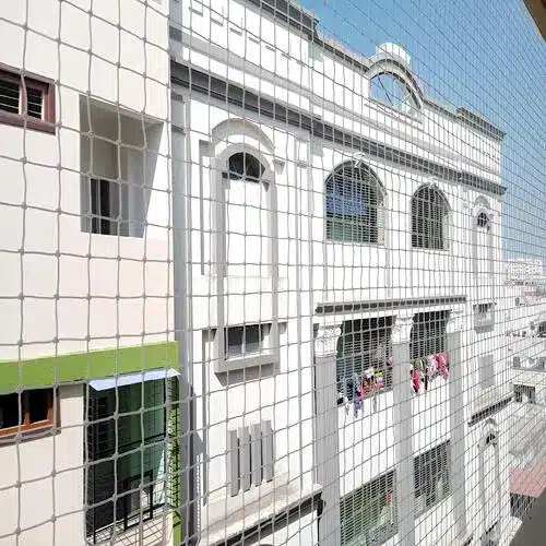 Pigeon Net Egmore Chennai