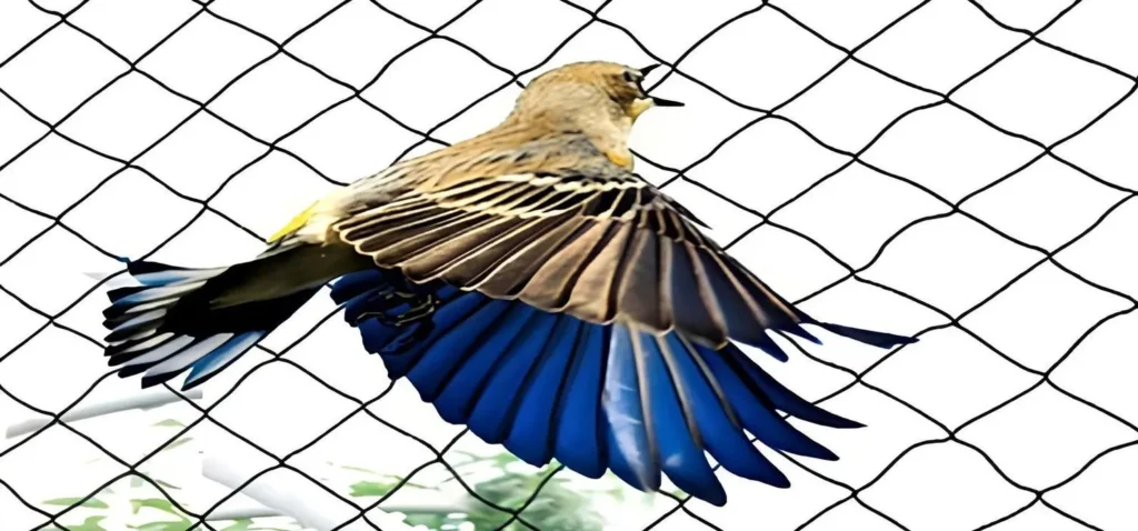 Premium Birds Net for Balcony in HSR Layout, Jalahalli and Bangalore (Bengaluru)