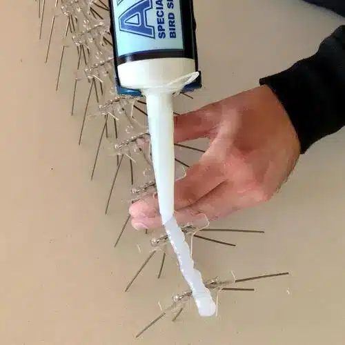 Premium Quality Anti Bird Spikes in Bannerghatta